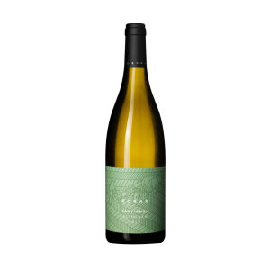 Korak SAUVIGNON klemenka